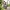 JobRadler mit Mountainbike lachend