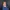 Martina Wardakas, Prokuristin bei BitGrip GmbH, im seitlichen Portrait